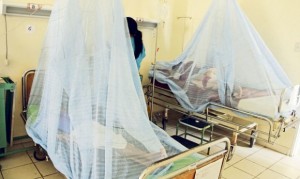 17-1a_rg_dengue_3-Noticia-734842
