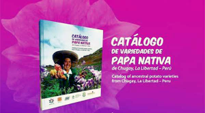 Catálogo-de-Papas-Nativas-de-Chugay-será-presentada-en-Trujillo1