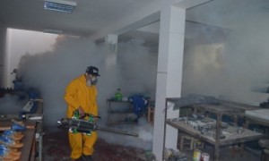 Intervienen-viviendas-382x229
