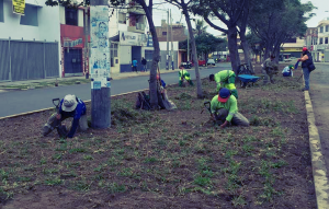 Segat-recupera-más-de-siete-mil-metros-cuadrados
