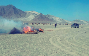 desalojan-a-invasosores