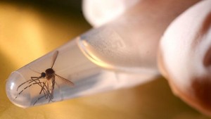 image_content_20790500_20160701122307