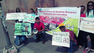 la-libertad-voluntarios