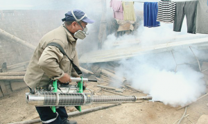 p19_n1_c-_dengue-Noticia-735