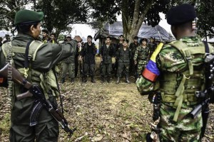 web_179534-01-08_big_ce